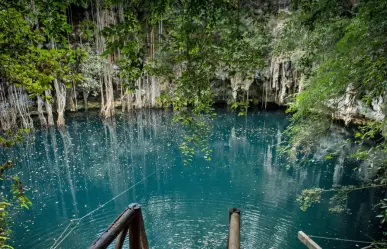 ¿Cómo nace un cenote? Aquí te lo explicamos