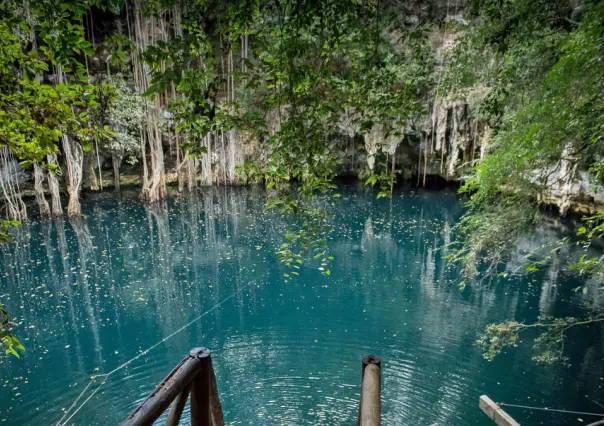 ¿Cómo nace un cenote? Aquí te lo explicamos