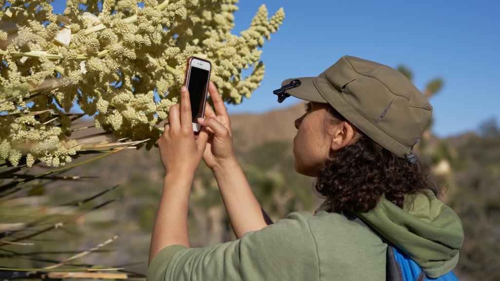 Lanzan la App Mi Ambiente para denuncias ambientales