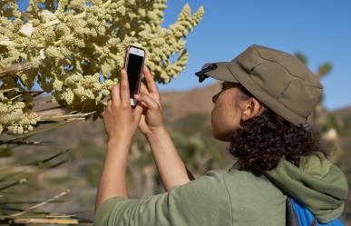 Lanzan la App Mi Ambiente para denuncias ambientales