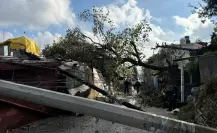 Cae árbol y derriba postes de luz, dañando 7 viviendas en Magdalena Contreras