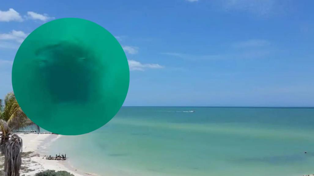 ¡Increíble! Descubren ojo de agua en medio del mar en Chuburná Puerto