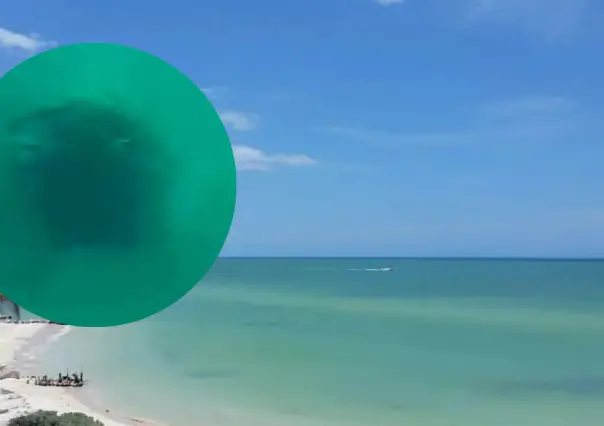 ¡Increíble! Descubren ojo de agua en medio del mar en Chuburná Puerto