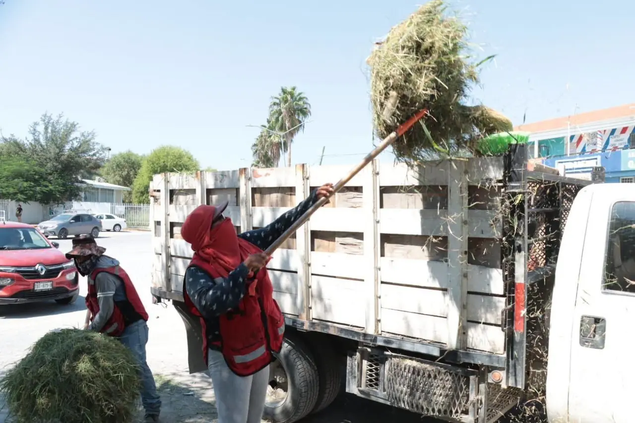 Juárez en acción: Francisco Treviño impulsa deshierbe y bacheo en colonias
