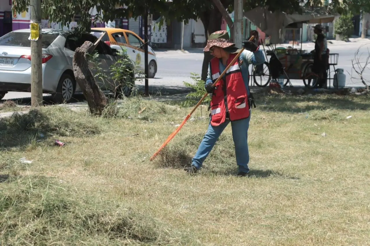 Juárez en acción: Francisco Treviño impulsa deshierbe y bacheo en colonias