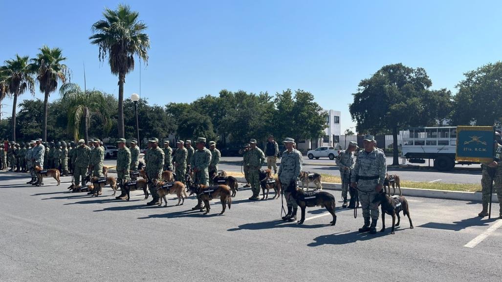 Entregan 15 caninos del Ejército a la Asociación de Médicos Veterinarios de NL