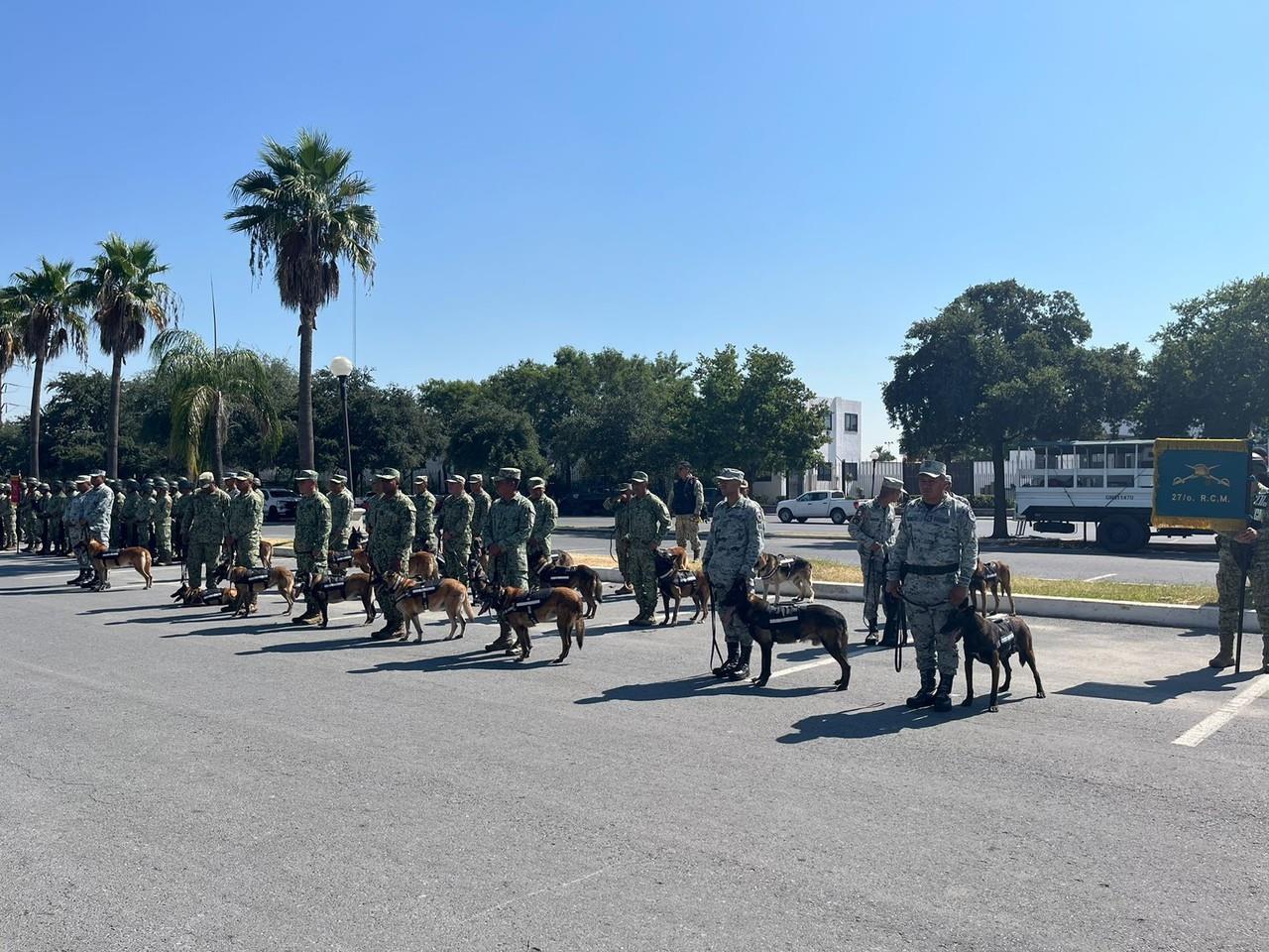 Por el paso del tiempo estos caninos pierden agilidad y habilidad para hacer actividades de alto rendimiento, es por eso que ahora buscan acomodarles una familia. Foto: Azael Valdés.