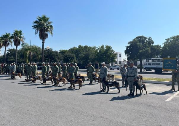 Entregan 15 caninos del Ejército a la Asociación de Médicos Veterinarios de NL