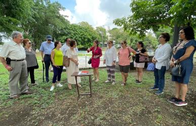 CFE ignora por 10 años las fallas eléctricas en una zona residencial de Tampico