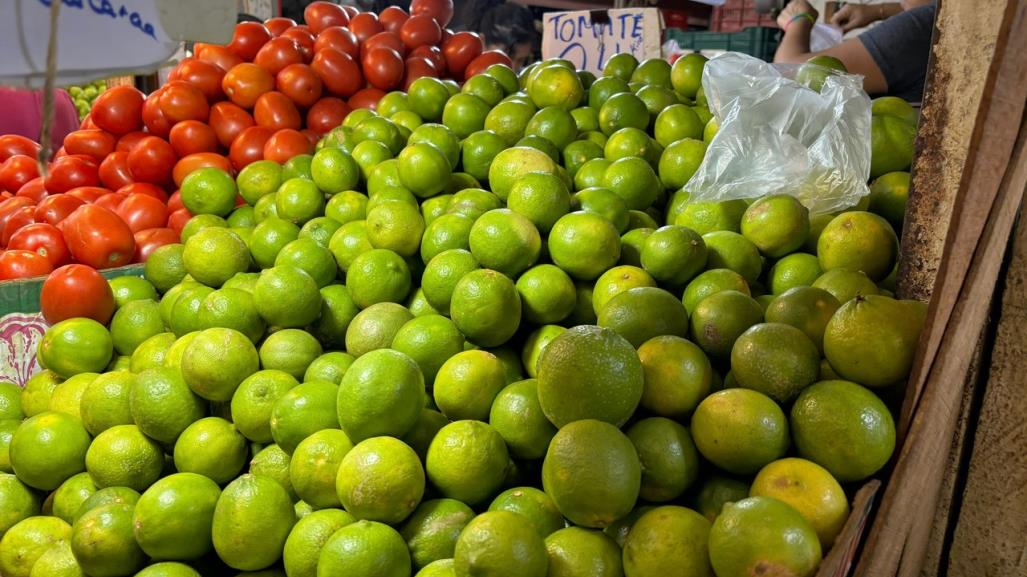 Precio del limón se mantiene estable en Yucatán