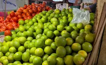 Precio del limón se mantiene estable en Yucatán