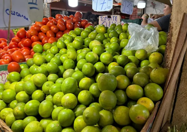 Precio del limón se mantiene estable en Yucatán