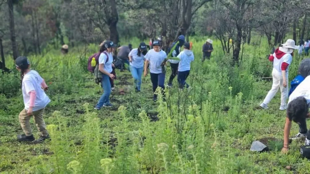 Lerma reforesta el paraje La Parra