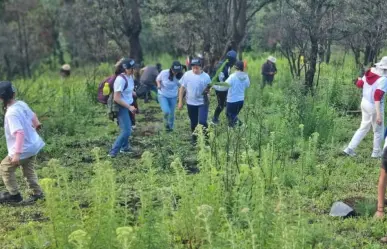 Lerma reforesta el paraje La Parra