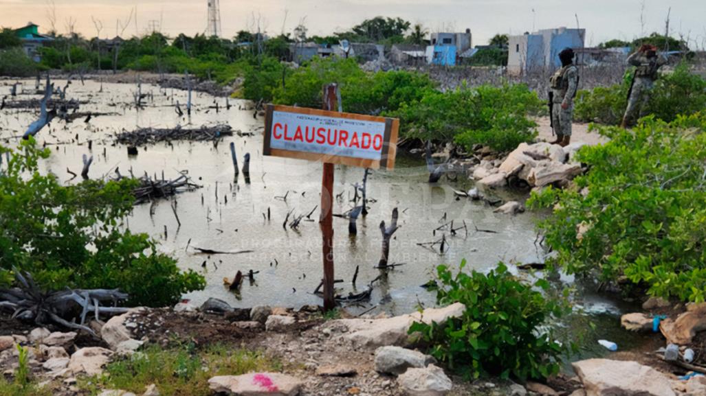 Clausuran construcciones irregulares en la Reserva de la Biosfera Ría Lagartos