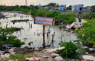 Clausuran construcciones irregulares en la Reserva de la Biosfera Ría Lagartos