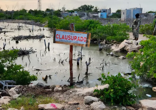 Clausuran construcciones irregulares en la Reserva de la Biosfera Ría Lagartos