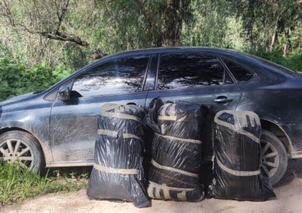 Guardia Nacional asegura 74 kilos de marihuana en Lagos de Moreno, Jalisco