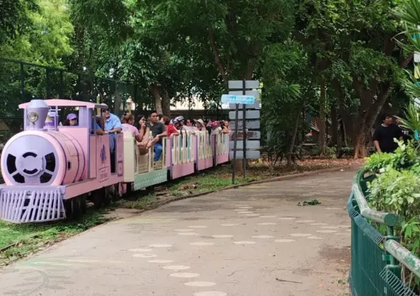 Incidente con el trenecito del Centenario en Mérida: Así ocurrieron los hechos