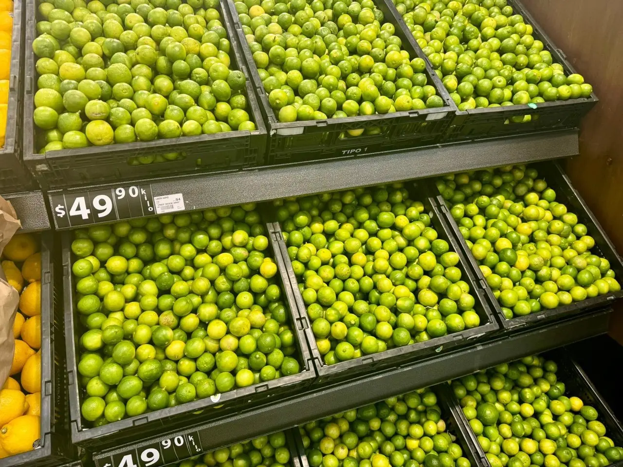 Cajas de limones ante incremento de precio. Foto: Alejandro Godina