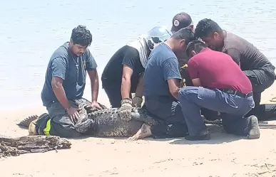 Juancho se fue a pasar el último fin de semana a Miramar y lo capturan