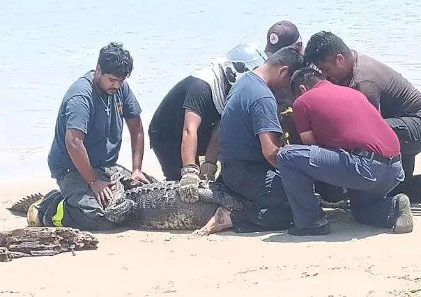 Juancho se fue a pasar el último fin de semana a Miramar y lo capturan