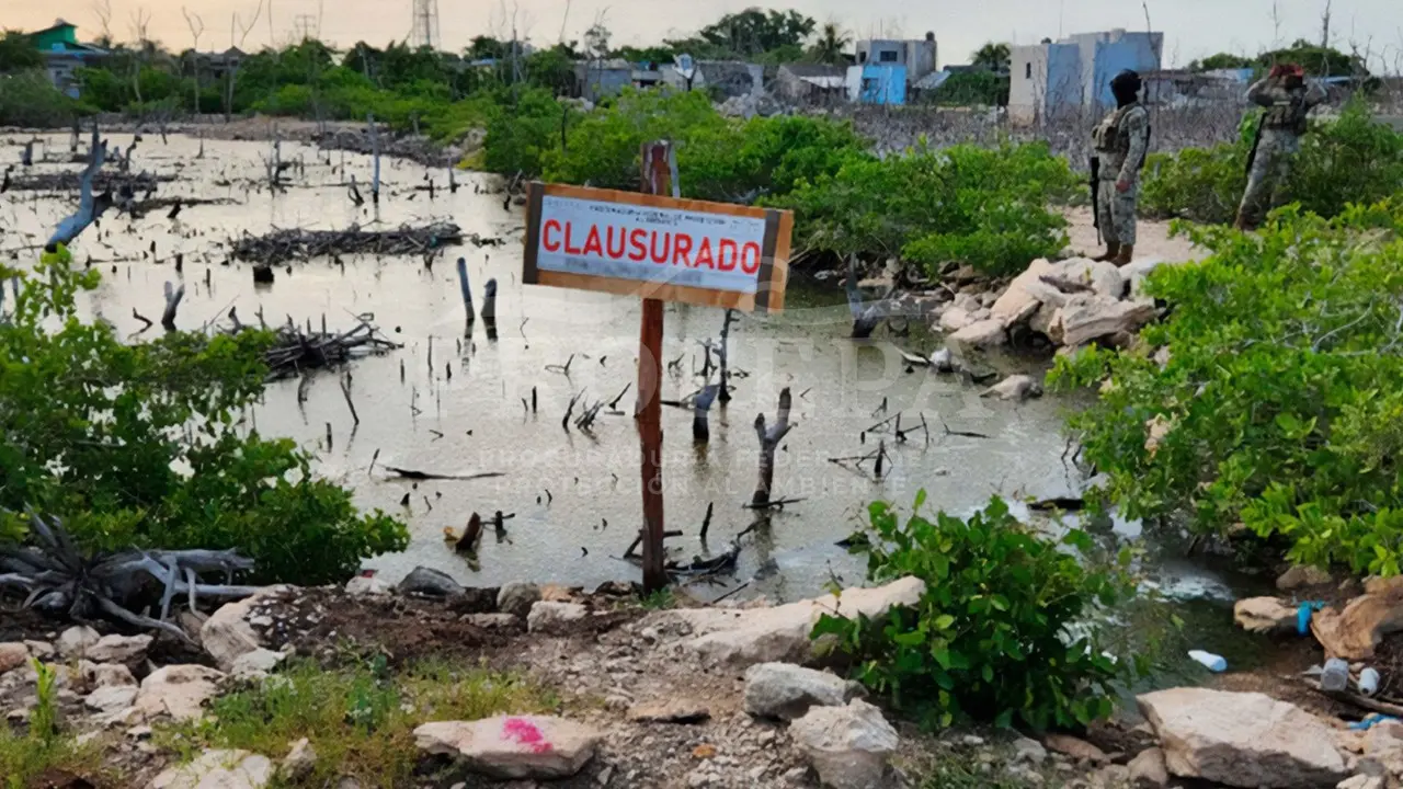 La procuraduría se encargó de colocar los sellos de clausura Foto: Cortesía