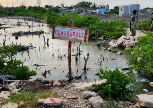 Profepa clausura construcciones en la Reserva de la Biosfera Ría Lagartos