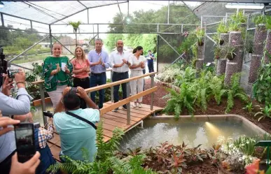 Inauguran primer Orquideario de Tamaulipas en el Vivero Didáctico de Tampico