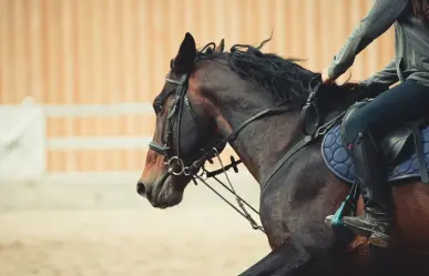 ¡Invitan a Cabalgata Amigos! Partirá de Múzquiz a Sabinas