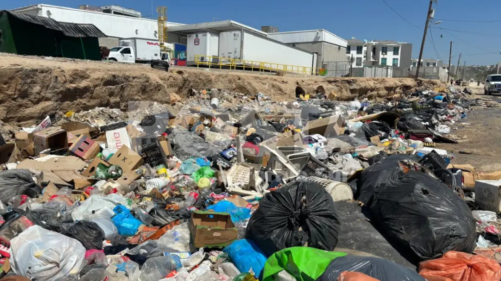 Vecinos de Real Unidad en Los Cabos exigen solución por basura en calles (Vídeo)