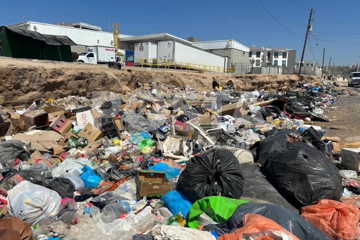 Basura acumulada en las calles. Foto: Irving Thomas / POSTA BCS