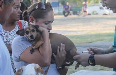 Vacunación gratuita en ferias de Bienestar Animal en Apodaca