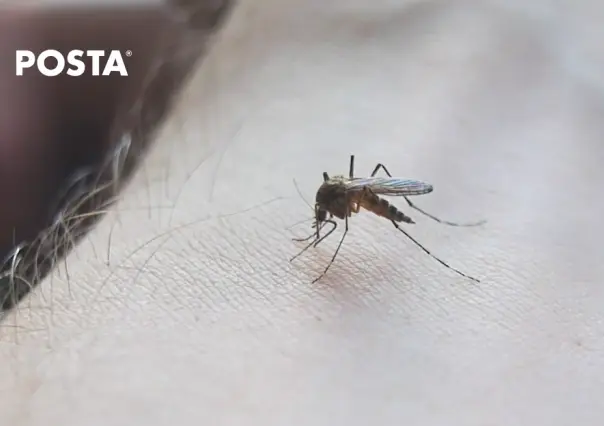 Alertan especialistas: dengue puede llevar a la muerte