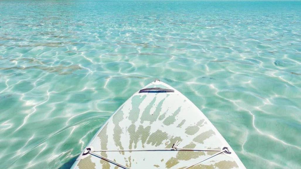 Los mejores lugares para hacer Paddle Board en La Paz