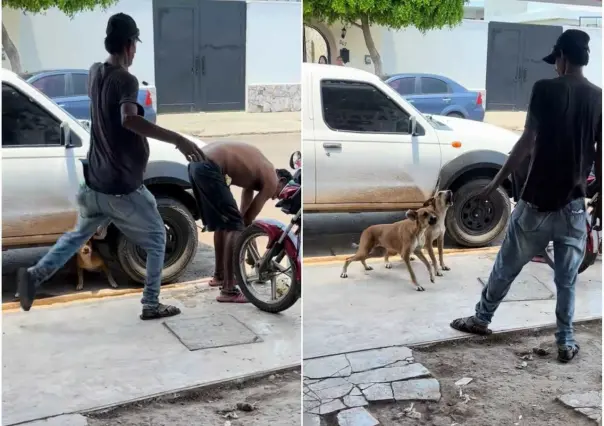 Perros defienden a su dueño ante agresión de indigente (VIDEO)