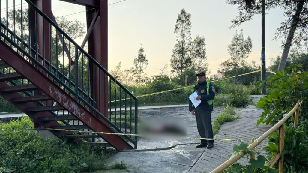 Cae de puente peatonal y muere instantáneamente en GAM