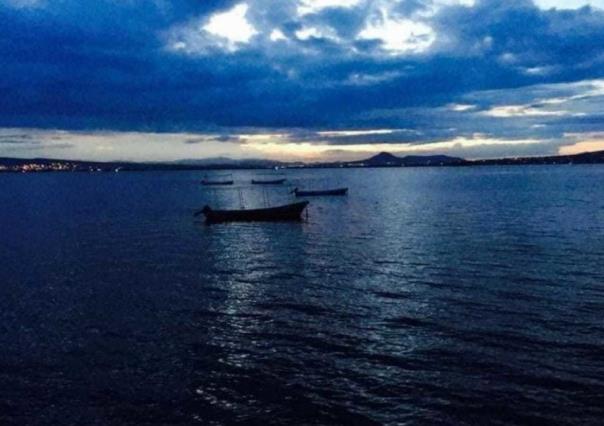 Renace la laguna de Zumpango, luce llena de vida