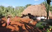 ¿Cómo están hechas las Casas Mayas?
