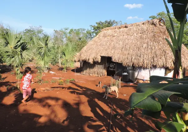 ¿Cómo están hechas las Casas Mayas?