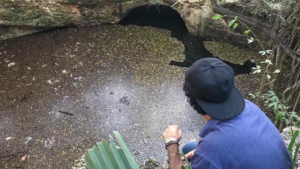 Cenote en casa abandonada: belleza subterránea contaminada en Mérida