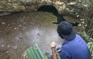 Cenote en casa abandonada: belleza subterránea contaminada en Mérida