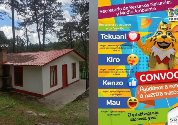 ¿Quieres ganar hospedaje en una cabaña de Durango? SRNyMA lanza concurso