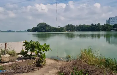 Hombre sin hogar es atacado por enorme cocodrilo en Villahermosa, Tabasco