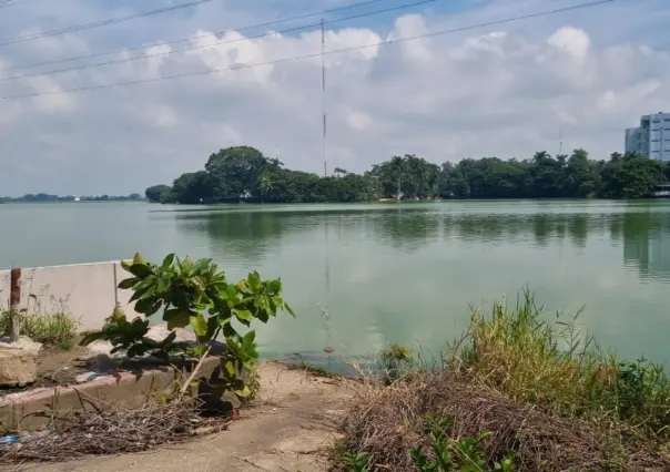 Hombre sin hogar es atacado por enorme cocodrilo en Villahermosa, Tabasco