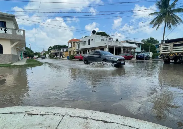 Es inhumano: Comapa Sur desperdicia agua limpia en fuga