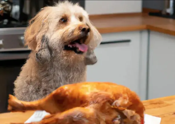 Siete alimentos saludables para el bienestar de tu perro