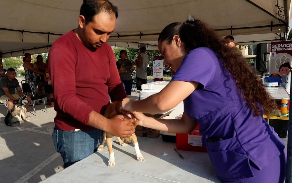 Escobedo lanza el programa Huellas que Transforman para las mascotas