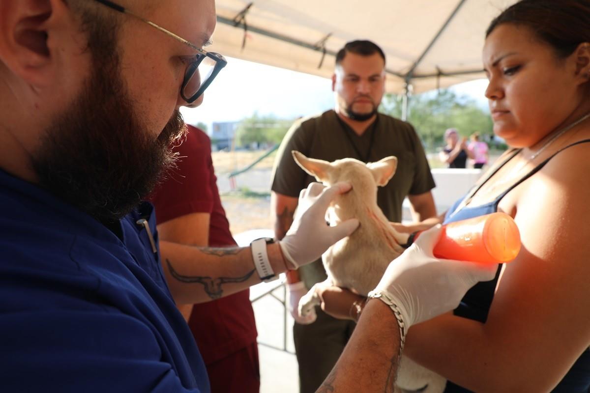 Escobedo lanza el programa Huellas que Transforman para las mascotas