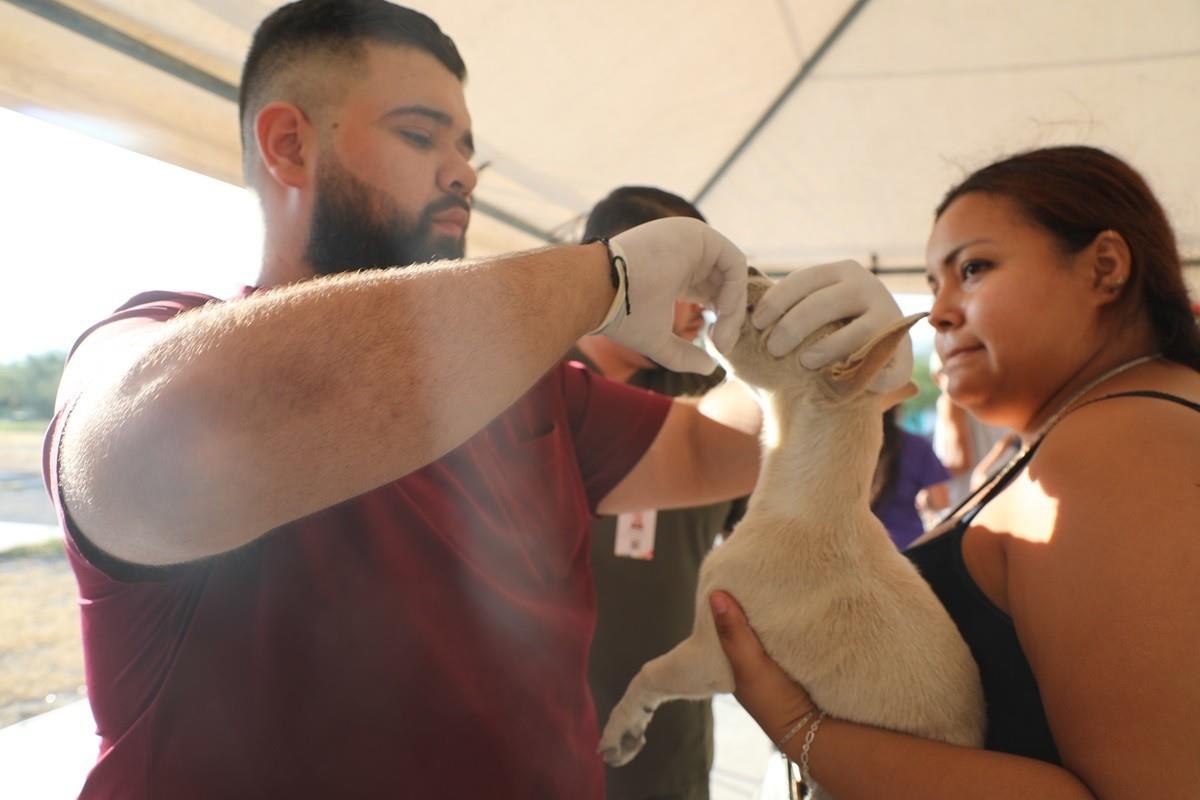 Escobedo lanza el programa Huellas que Transforman para las mascotas